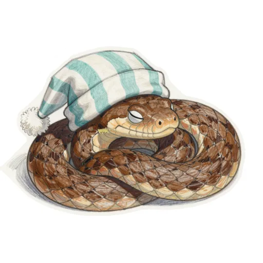 Snake Napping Nightcap